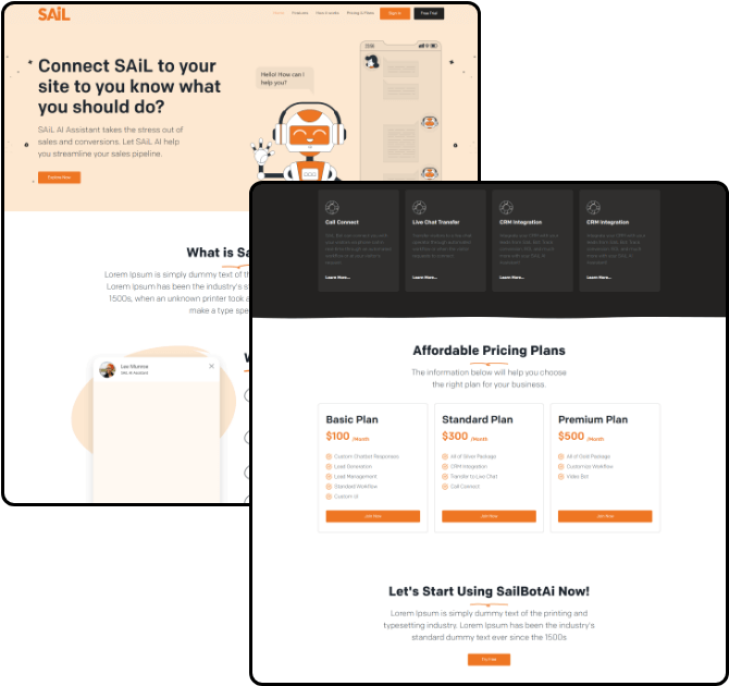 project overview